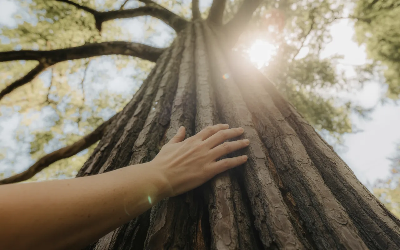 Signs Of Spiritual Awakening